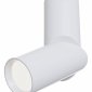Светодиодный спот Maytoni Dafne C027CL-L10W