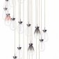 Потолочная люстра Lightstar Colore 805289