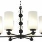 Подвесная люстра ST-Luce AURORA SL2003.403.06