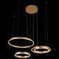 Подвесная светодиодная люстра ST Luce Onze SL944.203.04