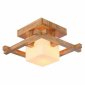 Потолочный светильник Arte Lamp Woods A8252PL-1BR