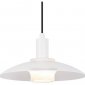 Подвесной светильник Favourite Baster 4274-1P