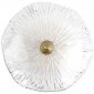 Настенный светильник Loft IT Bloom 10352W/A AB