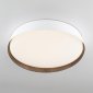 Накладной светильник Citilux BONNY CL754350G
