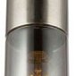 Подвесной светильник Toplight Ilene TL1628H-01SN