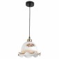 Подвесная люстра Toplight Caren TL4311D-01AB