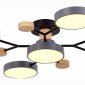 Потолочная люстра EVOLUCE Faema SLE6006-702-05