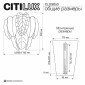 Накладной светильник Citilux HASIENDA CL328350