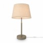 Интерьерная настольная лампа Freya Butler FR2057TL-01BG