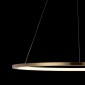 Подвесной светодиодный светильник Loft IT Ring 10014L