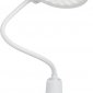Офисная настольная лампа NLED-501-10W-W