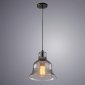 Подвесной светильник Arte Lamp Amiata A4255SP-1SM