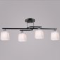 Потолочная люстра  06194-0.3-04 BK+CH