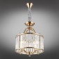 Подвесная люстра Aployt Romen APL.809.03.04