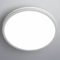 Настенно-потолочный светильник Basic Line CL738320VL