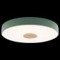 Потолочный светильник Loft IT Axel 10003/24 Green