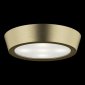 Настенно-потолочный светильник Lightstar Urbano 214912