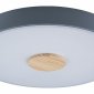 Потолочный светильник Loft IT Axel 10003/24 Grey