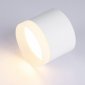 Накладной светильник Ambrella Light TN TN5365