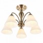 Потолочная люстра MyFar Anna MR1451-5C