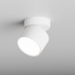 Накладной светильник Hesby Lighting Mysen HSBL_0179