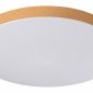 Потолочный светильник Sonex Gamma 7761/50L