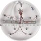 Потолочная люстра Core LED LAMPS 81120/5C