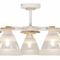 Потолочная люстра Rivoli Theothila Б0068395