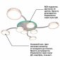 Потолочная люстра Natali Kovaltseva HIGH-TECH LED LAMPS 82015