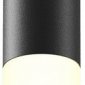 Подвесной светильник Maytoni Mist P101PL-L300-12W3K-B