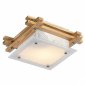 Потолочный светильник Arte Lamp Archimede A6460PL-1BR