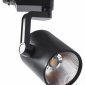 Потолочный светильник Arte Lamp 2330 A2330PL-1BK