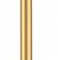 Настенный светильник Odeon Light Fillini 4335/12WGP