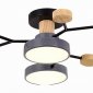 Потолочная люстра EVOLUCE Faema SLE6006-702-04