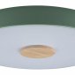 Потолочный светильник Loft IT Axel 10003/24 Green
