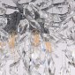 Подвесная люстра Arte Milano Rametto 230110.480.6.E14.D CR
