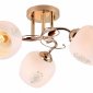 Потолочная люстра Escada Anemone 1121/3PL