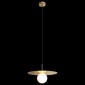 Подвесной светильник Loft IT Ufo 10120/350P Gold