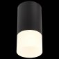 Потолочный светильник ST Luce ST100.412.01