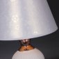 Интерьерная настольная лампа  00844-0.7-01