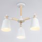 Люстра на штанге Ambrella Light TR TR82204