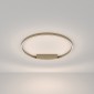 Потолочный светильник Maytoni Rim MOD058CL-L50BSK