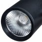 Потолочный светильник Arte Lamp 2310 A2310PL-1BK