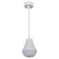 Подвесной светильник Reluce Technical 16007-0.9-001IL E27 WT