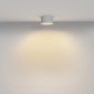 Потолочный светильник Maytoni Zon C032CL-12W2.7K-RD-W