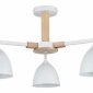 Потолочная люстра Lumion Colange 8095/3C