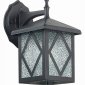 Настенный фонарь уличный ST Luce Lorne SL084.411.01