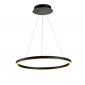 Подвесной светильник Donolux Ringlet S111028/1 D600 Black