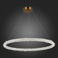 Подвесной светодиодный светильник ST Luce Avana SL6110.223.01