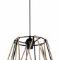 Подвесной светильник Georgiana TL1607H-01BK
